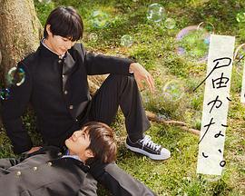 侦察兵插曲海报剧照